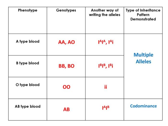 Alleles worksheet codominance