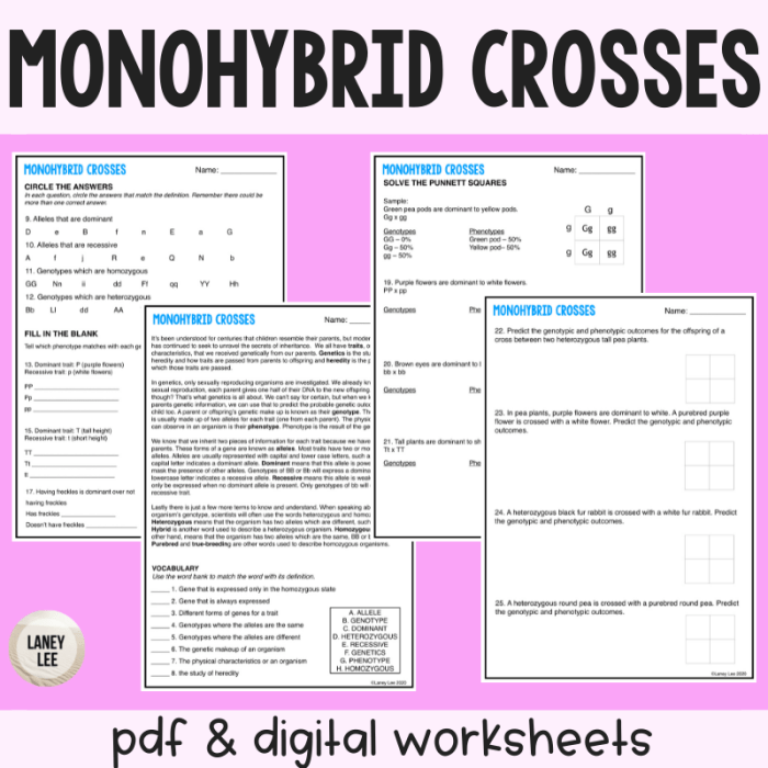 Monohybrid cross practice answer key