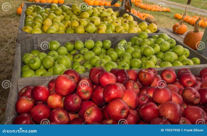 Bushel half linvilla