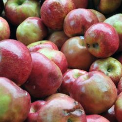 Apples bushel publicdomainpictures