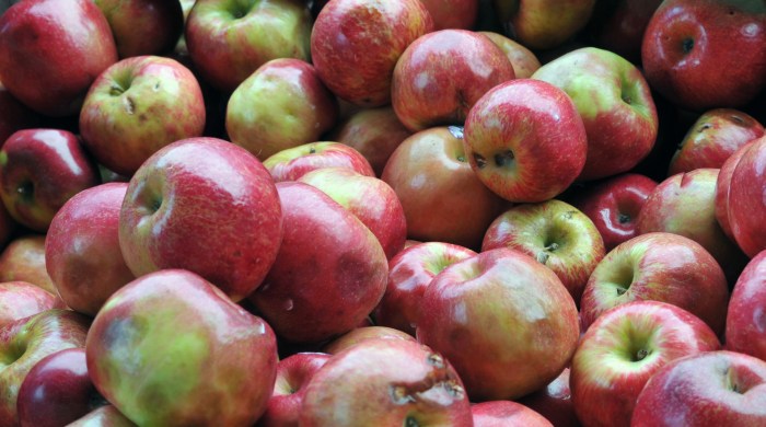 Apples bushel publicdomainpictures