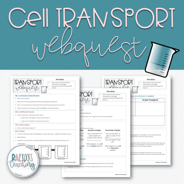 Cell membrane and transport webquest