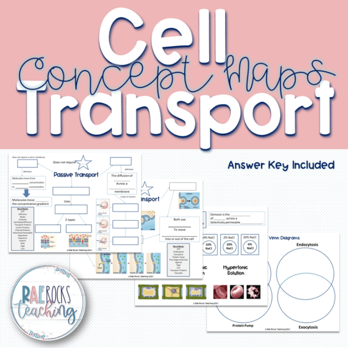 Cell membrane and transport webquest