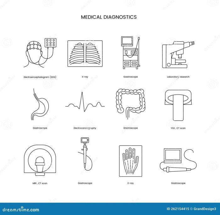 Electrocardiography anatomy and the ecg quiz