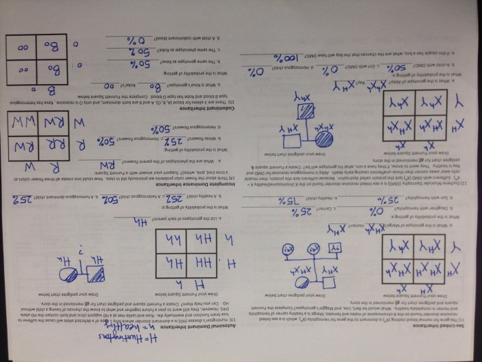 Codominance and multiple alleles answer key