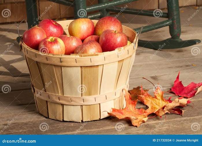 Price for a bushel of apples