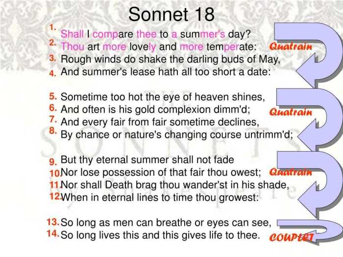 Sonnet 18 questions and answers pdf