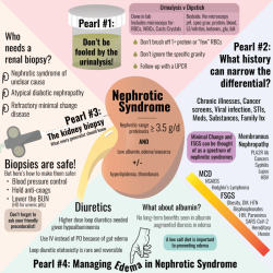 Nursing diagnosis of nephrotic syndrome