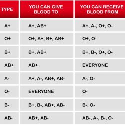 Blood types and donation possibilities worksheet a