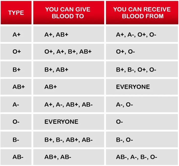 Blood types and donation possibilities worksheet a