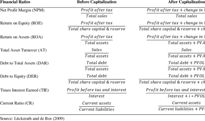 Accounting and financial ratios: expanding the vintage lily