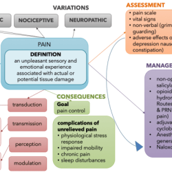 Ati pharmacology made easy pain and inflammation