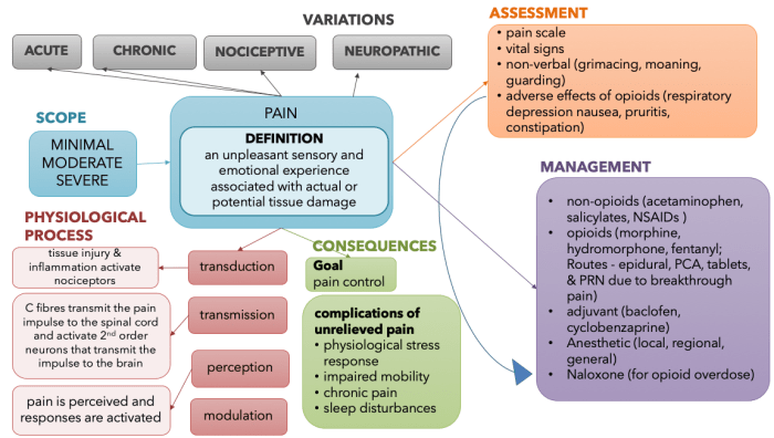 Ati pharmacology made easy pain and inflammation