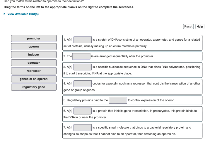 Can you match terms related to operons to their definitions