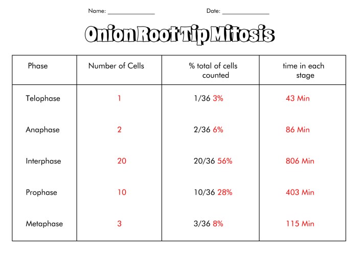 Onion root tip mitosis lab report pdf answer key