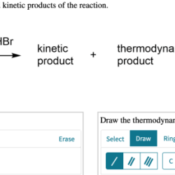 Draw the major thermodynamic and kinetic products of the reaction.