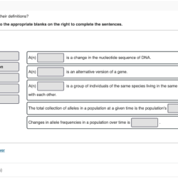 Match terms complete sentences appropriate drag blanks their left right descriptions structures information protein solved cell present proteins material dna