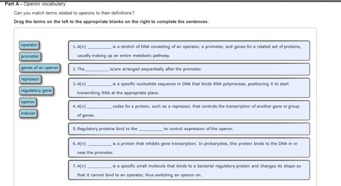 Can you match terms related to operons to their definitions